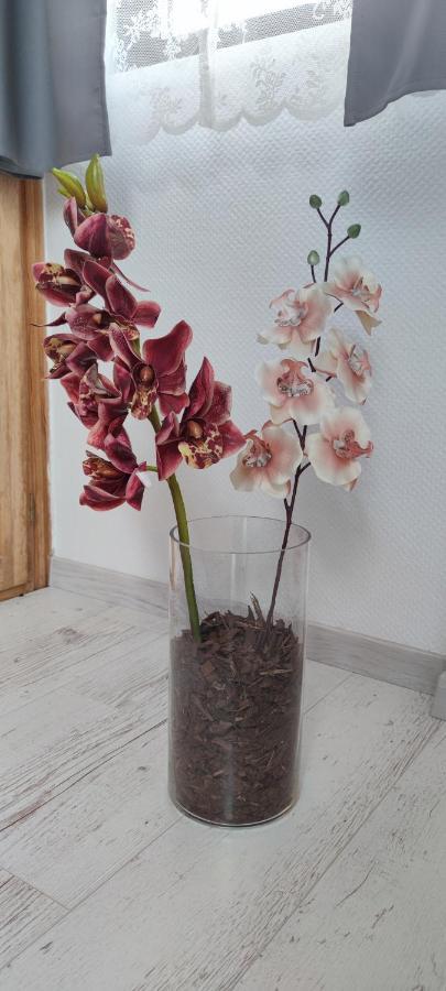 Natura Panzio Szilvasvarad Ngoại thất bức ảnh